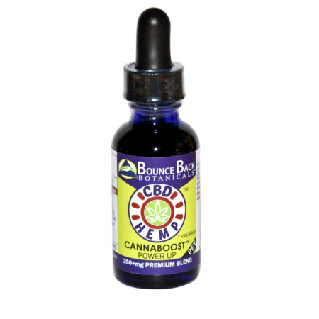 Full-spectrum Bounce Back Botanicals CBD Hemp CannaBoost™ Power UP 250+ mg Premium Pure Pet is a hemp oil and cannabinoid extract product of BounceBack Botanicals™ containing rich vitamins and nutrients used to fight cancer in pets and dogs